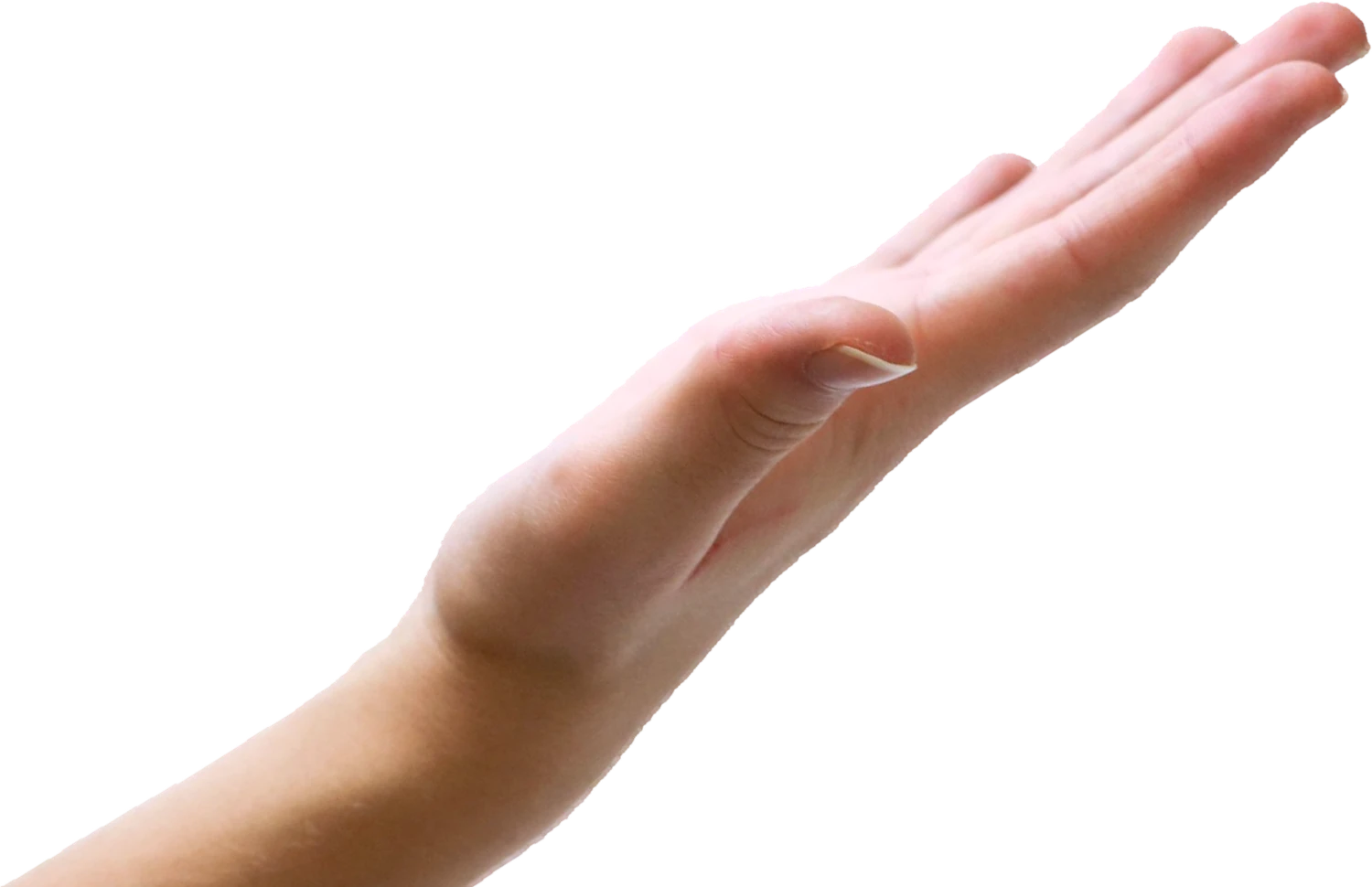 Una mano sostiene un celular con Médula abierta.